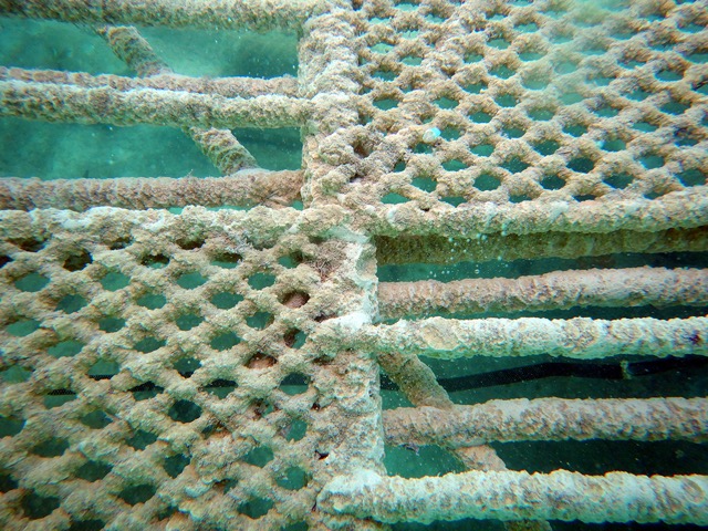 Month 2 Rock Formation